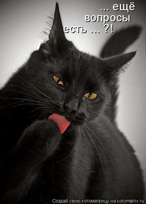 Котоматрица: ... ещё вопросы есть ... ?!