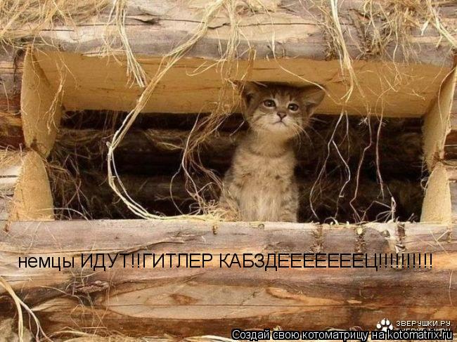 немцы ИДУТ!!ГИТЛЕР КАБЗДЕЕЕЕЕЕЕЦ!!!!!!!!!!... Котоматрица: немцы ИДУТ!!ГИТЛЕР КАБЗДЕЕЕЕЕЕЕЦ!!!!!!!!!!