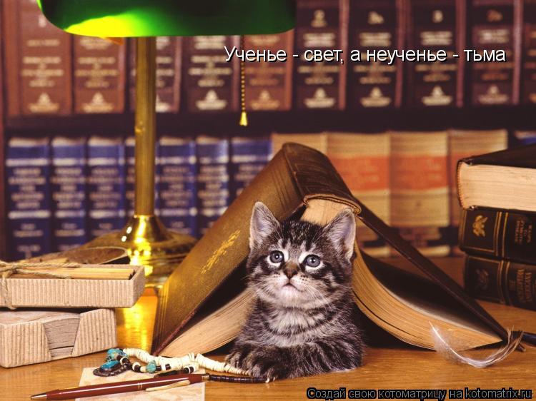 Ученье - свет, а неученье - тьма... Котоматрица: Ученье - свет, а неученье - тьма