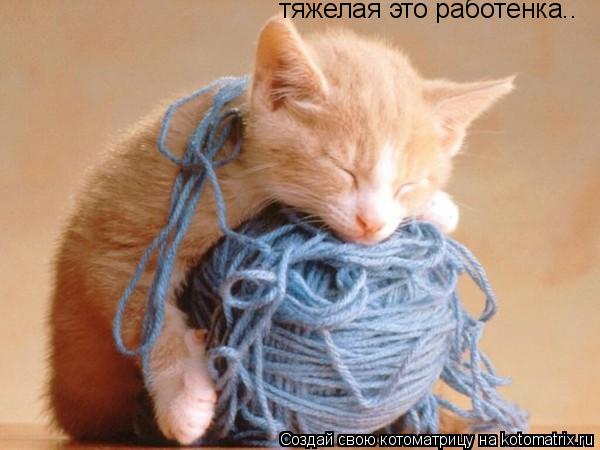 тяжелая это работенка..... Котоматрица: тяжелая это работенка..