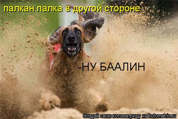 палкан палка в другой стороне -НУ БААЛИН... Котоматрица: палкан палка в другой стороне -НУ БААЛИН