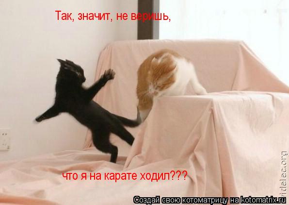 Так, значит, не веришь, что я на карате ходил???... Котоматрица: Так, значит, не веришь, что я на карате ходил???
