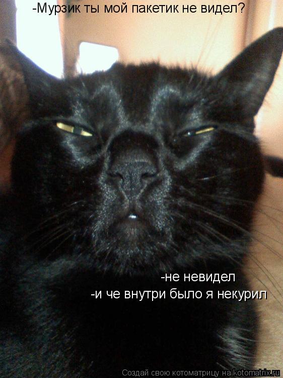 -Мурзик ты мой пакетик не видел? -не невидел -и че внутри было я некурил... Котоматрица: -Мурзик ты мой пакетик не видел? -не невидел -и че внутри было я некурил