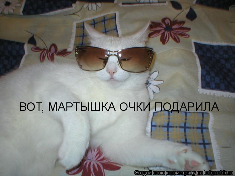 ВОТ, МАРТЫШКА ОЧКИ ПОДАРИЛА... Котоматрица: ВОТ, МАРТЫШКА ОЧКИ ПОДАРИЛА