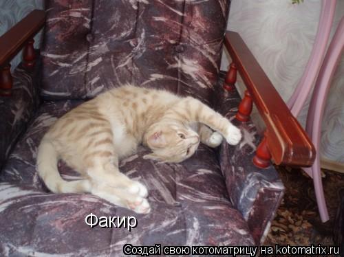 Факир... Котоматрица: Факир