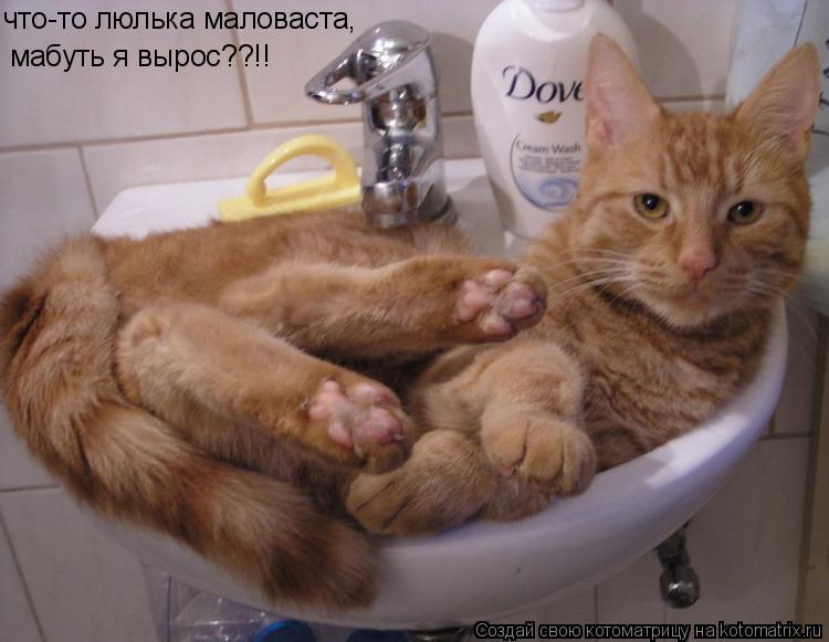 что-то люлька маловаста, мабуть я вырос??!!... Котоматрица: что-то люлька маловаста, мабуть я вырос??!!