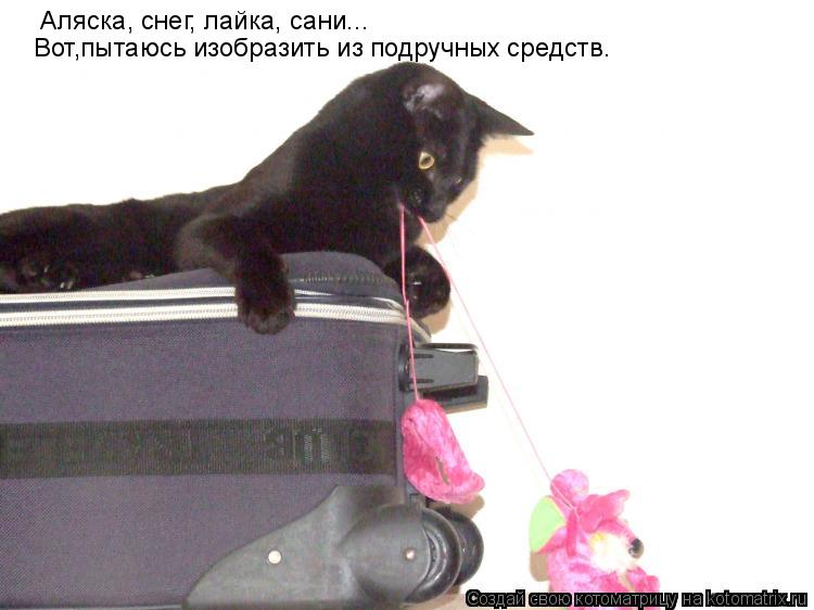 Вот,пытаюсь изобразить из подручных средств. Аляска, снег, лайка, сани...... Котоматрица: Вот,пытаюсь изобразить из подручных средств. Аляска, снег, лайка, сани...
