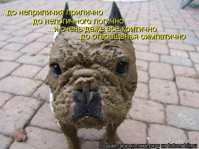 Котоматрица: ...до неприличия прилично ...до нелогичного логично ...и очень даже все критично ...до отвращенья симпатично