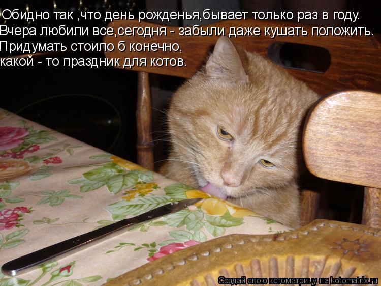 Обидно так ,что день рожденья,бывает только раз в году. Вчера любили все,сегодня - забыли даже кушать... Котоматрица: Обидно так ,что день рожденья,бывает только раз в году. Вчера любили все,сегодня - забыли даже кушать положить. Придумать стоило б конечно, к