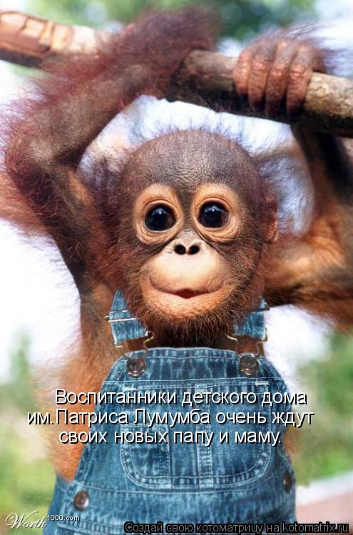 Воспитанники детского дома им.Патриса Лумумба очень ждут своих новых папу и маму.... Котоматрица: Воспитанники детского дома им.Патриса Лумумба очень ждут своих новых папу и маму.