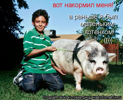 вот накормил меня! а раньше я был маленьким котёнком! ((((... Котоматрица: вот накормил меня! а раньше я был маленьким котёнком! ((((