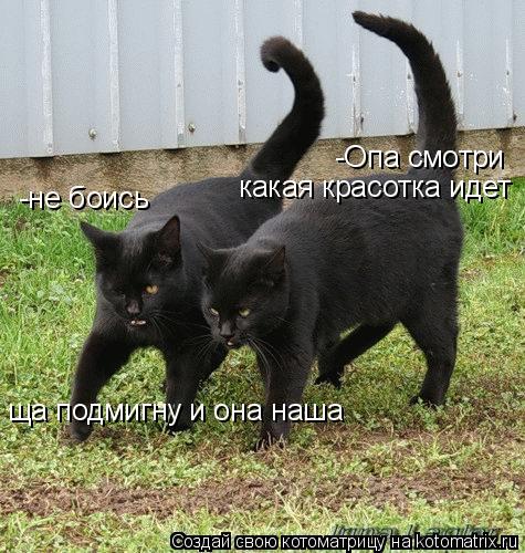 -Опа смотри какая красотка идет -не боись ща подмигну и она наша... Котоматрица: -Опа смотри какая красотка идет -не боись ща подмигну и она наша