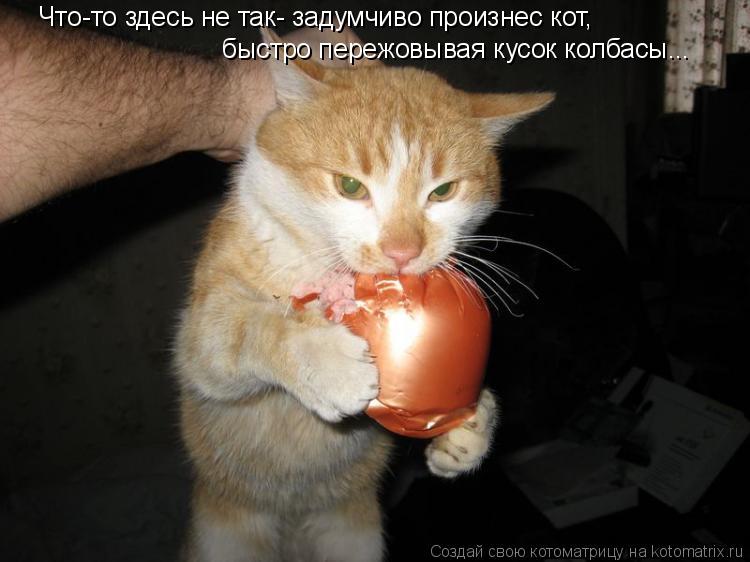 Что-то здесь не так- задумчиво произнес кот, быстро пережовывая кусок колбасы...... Котоматрица: Что-то здесь не так- задумчиво произнес кот, быстро пережовывая кусок колбасы...