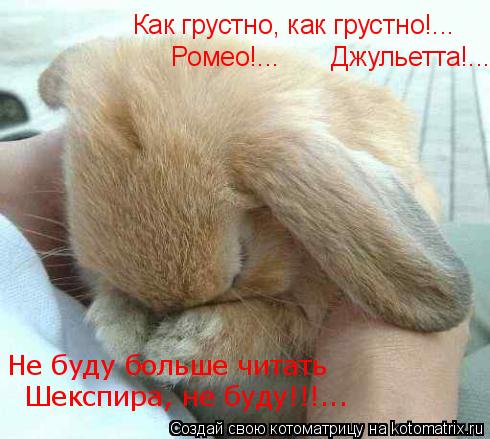 Как грустно, как грустно!... Ромео!... Джульетта!... Не буду больше читать Шекспира, не буду!!... Котоматрица: Как грустно, как грустно!... Ромео!... Джульетта!... Не буду больше читать Шекспира, не буду!!!...