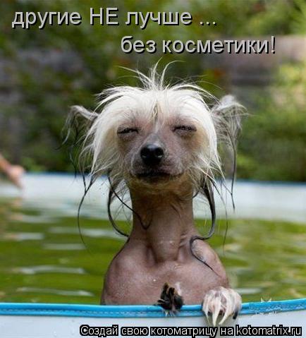другие НЕ лучше ... без косметики!... Котоматрица: другие НЕ лучше ... без косметики!