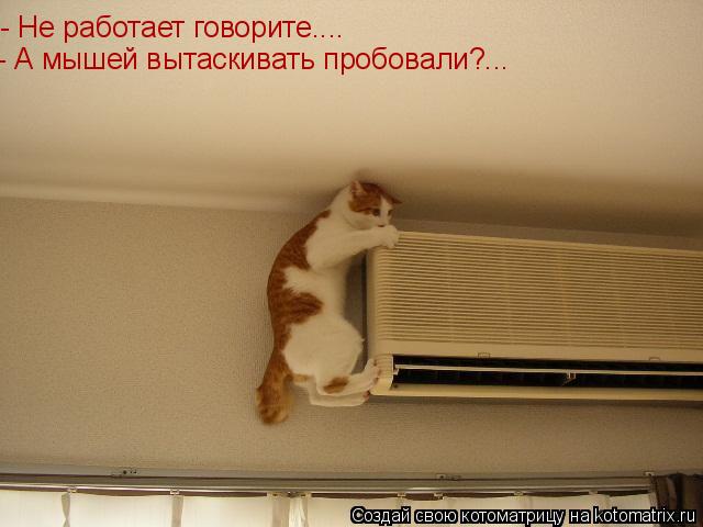 - Не работает говорите.... - А мышей вытаскивать пробовали?...... Котоматрица: - Не работает говорите.... - А мышей вытаскивать пробовали?...