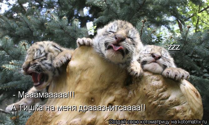 - Мааамааааа!!! А Тишка на меня драаазнитсаааа!! zzz... Котоматрица: - Мааамааааа!!! А Тишка на меня драаазнитсаааа!! zzz