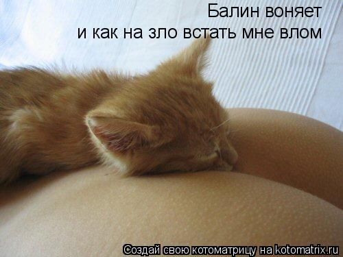 Балин воняет и как на зло встать мне влом... Котоматрица: Балин воняет и как на зло встать мне влом