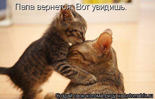 Папа вернется. Вот увидишь.... Котоматрица: Папа вернется. Вот увидишь.