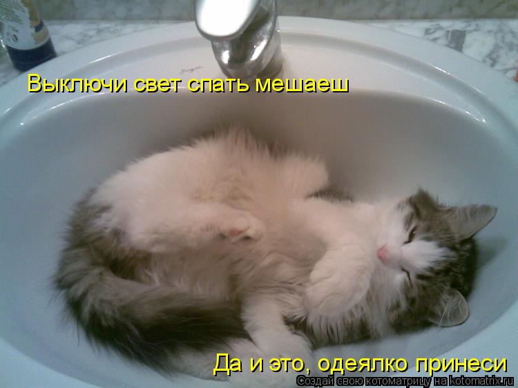 Выключи свет спать мешаеш Да и это, одеялко принеси... Котоматрица: Выключи свет спать мешаеш Да и это, одеялко принеси