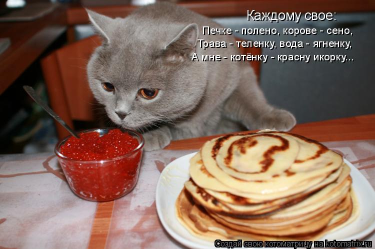 Каждому свое: Печке - полено, корове - сено, Трава - теленку, вода - ягненку, А мне - котёнку - крас... Котоматрица: Каждому свое: Печке - полено, корове - сено, Трава - теленку, вода - ягненку, А мне - котёнку - красну икорку...