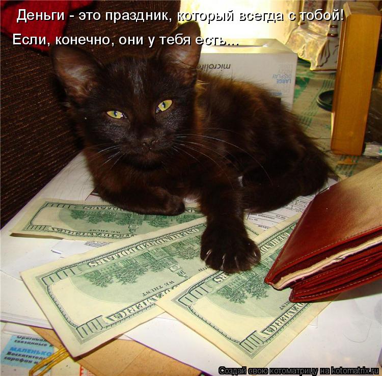 Деньги - это праздник, который всегда с тобой! Если, конечно, они у тебя есть...... Котоматрица: Деньги - это праздник, который всегда с тобой! Если, конечно, они у тебя есть...