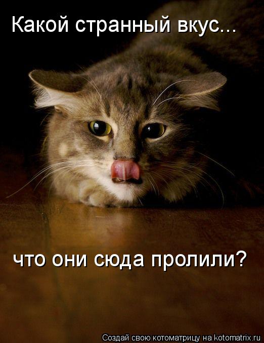 Какой странный вкус... что они сюда пролили?... Котоматрица: Какой странный вкус... что они сюда пролили?