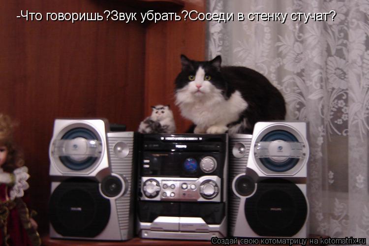 -Что говоришь?Звук убрать?Соседи в стенку стучат?... Котоматрица: -Что говоришь?Звук убрать?Соседи в стенку стучат?