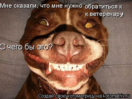 Мне сказали, что мне нужно обратиться к к ветеренару ! С чего бы это?... Котоматрица: Мне сказали, что мне нужно обратиться к к ветеренару ! С чего бы это?
