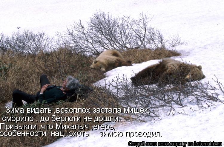 Зима видать ,врасплох застала мишек, сморило , до берлоги не дошли . Привыкли ,что Михалыч ,егерь, ос... Котоматрица: Зима видать ,врасплох застала мишек, сморило , до берлоги не дошли . Привыкли ,что Михалыч ,егерь, особенности нац..охоты , зимою проводил.