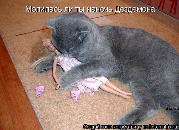 Молилась ли ты наночь Дездемона... Котоматрица: Молилась ли ты наночь Дездемона