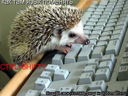 как там язык поменять CTRL+SHIFT?... Котоматрица: как там язык поменять CTRL+SHIFT?