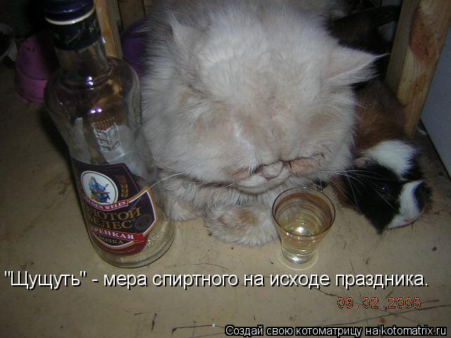 "Щущуть" - мера спиртного на исходе праздника.... Котоматрица: "Щущуть" - мера спиртного на исходе праздника.