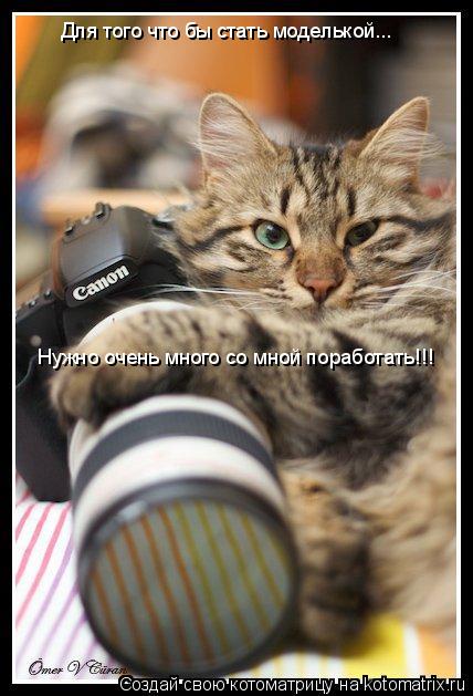 Для того что бы стать моделькой... Нужно очень много со мной поработать!!!... Котоматрица: Для того что бы стать моделькой... Нужно очень много со мной поработать!!!