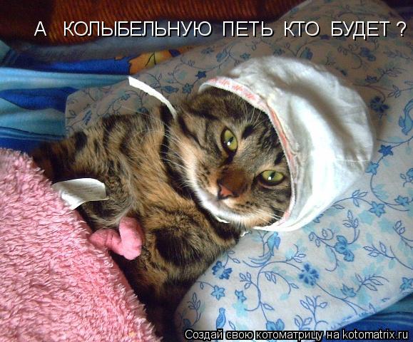 А КОЛЫБЕЛЬНУЮ ПЕТЬ КТО БУДЕТ ?... Котоматрица: А КОЛЫБЕЛЬНУЮ ПЕТЬ КТО БУДЕТ ?