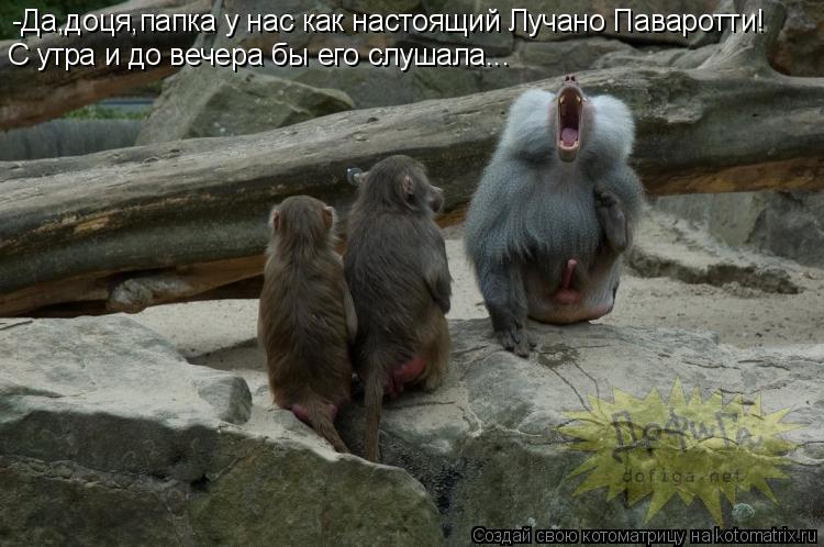 Котоматрица: -Да,доця,папка у нас как настоящий Лучано Паваротти! С утра и до вечера бы его слушала...