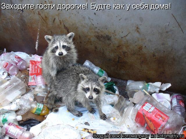Заходите,гости дорогие! Будте как у себя дома!... Котоматрица: Заходите,гости дорогие! Будте как у себя дома!