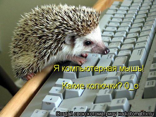 Я компьютерная мышь! Какие колючки? 0_о... Котоматрица: Я компьютерная мышь! Какие колючки? 0_о