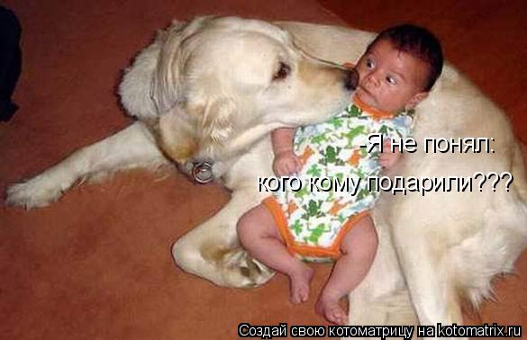 -Я не понял: кого кому подарили???... Котоматрица: -Я не понял: кого кому подарили???