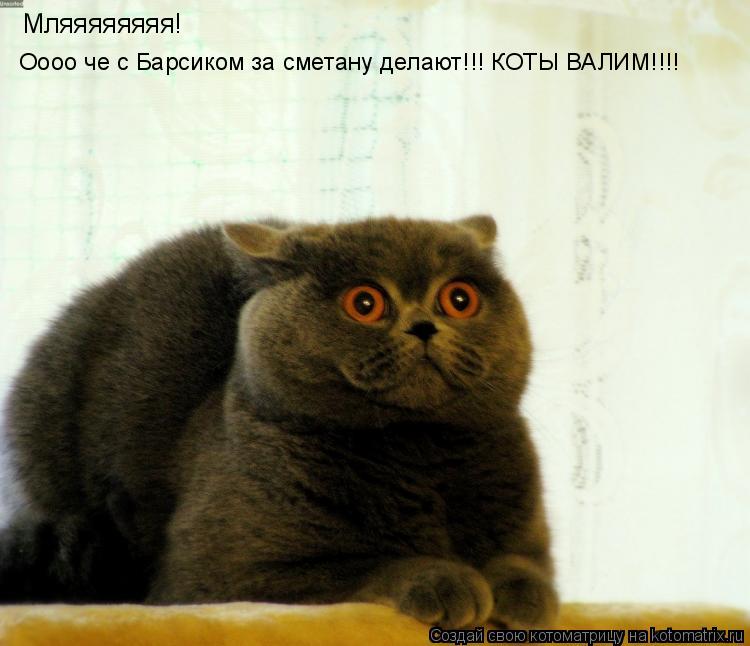 Мляяяяяяяя! Оооо че с Барсиком за сметану делают!!! КОТЫ ВАЛИМ!!!!... Котоматрица: Мляяяяяяяя! Оооо че с Барсиком за сметану делают!!! КОТЫ ВАЛИМ!!!!