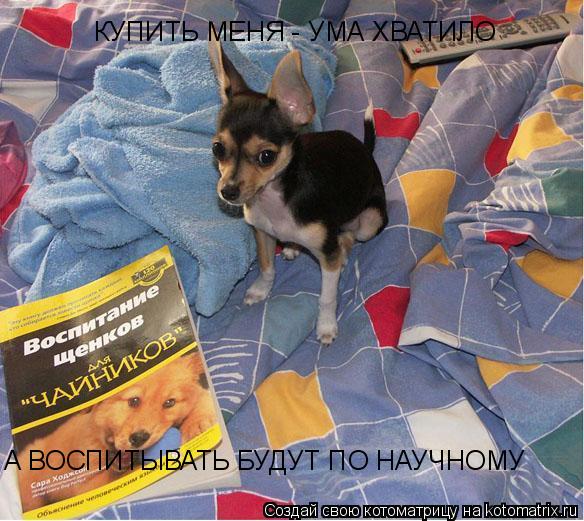 КУПИТЬ МЕНЯ - УМА ХВАТИЛО А ВОСПИТЫВАТЬ БУДУТ ПО НАУЧНОМУ... Котоматрица: КУПИТЬ МЕНЯ - УМА ХВАТИЛО А ВОСПИТЫВАТЬ БУДУТ ПО НАУЧНОМУ