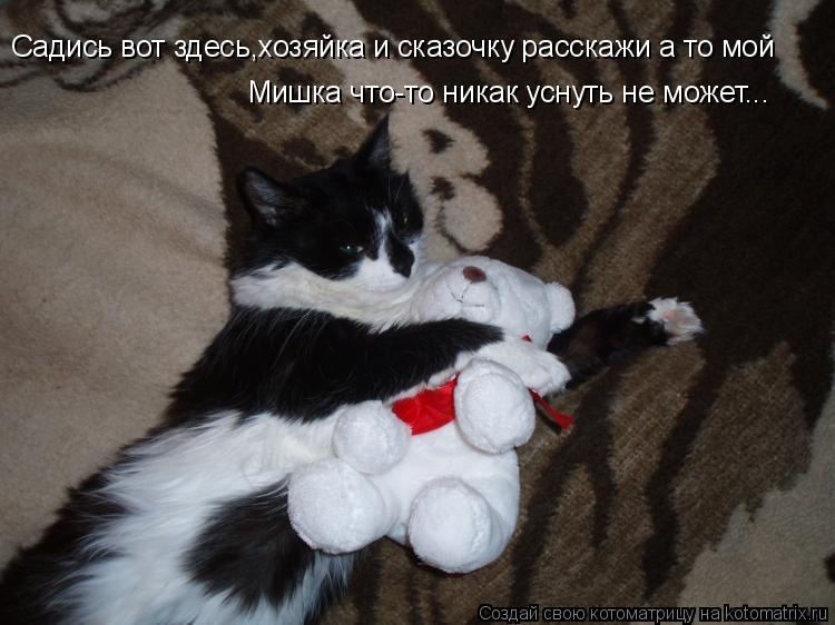 Мишка что-то никак уснуть не может... Садись вот здесь,хозяйка и сказочку расскажи а то мой... Котоматрица: Мишка что-то никак уснуть не может... Садись вот здесь,хозяйка и сказочку расскажи а то мой