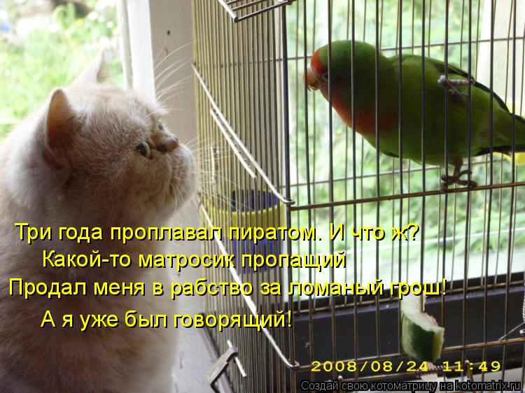 Три года проплавал пиратом. И что ж? Какой-то матросик пропащий Продал меня в рабство за ломаный грош... Котоматрица: Три года проплавал пиратом. И что ж? Какой-то матросик пропащий Продал меня в рабство за ломаный грош! А я уже был говорящий!