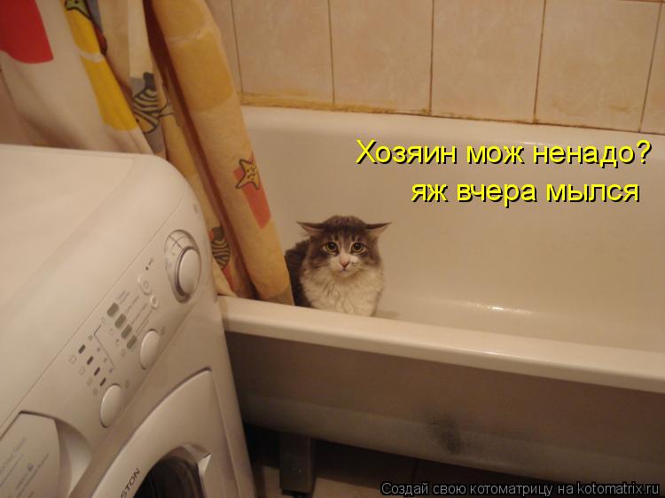 Хозяин мож ненадо? яж вчера мылся... Котоматрица: Хозяин мож ненадо? яж вчера мылся