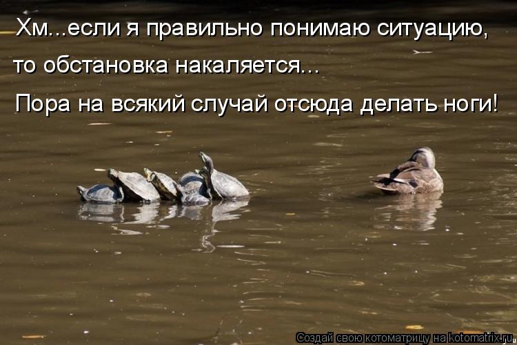 Хм...если я правильно понимаю ситуацию, то обстановка накаляется... Пора на всякий случай отсюда дел... Котоматрица: Хм...если я правильно понимаю ситуацию, то обстановка накаляется... Пора на всякий случай отсюда делать ноги!