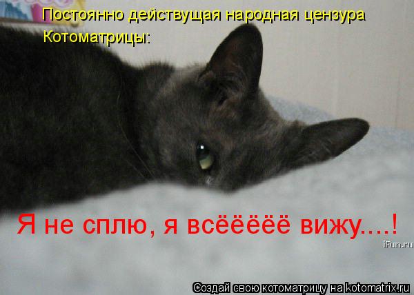 Постоянно действущая народная цензура Котоматрицы: Я не сплю, я всёёёёё вижу....!... Котоматрица: Постоянно действущая народная цензура Котоматрицы: Я не сплю, я всёёёёё вижу....!