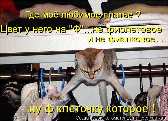 и не фиалковое.... Где моё любимое платье ? Цвет у него на "Ф"...не фиолетовое, ну ф клеточку которое... Котоматрица: и не фиалковое.... Где моё любимое платье ? Цвет у него на "Ф"...не фиолетовое, ну ф клеточку которое !