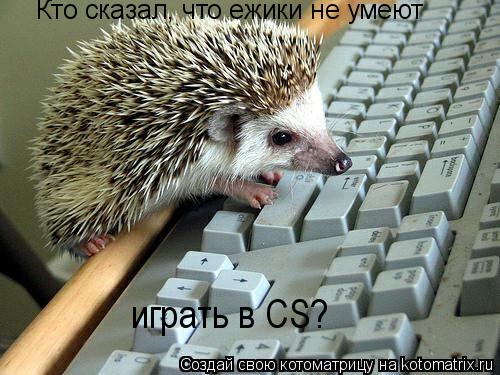 Кто сказал, что ежики не умеют играть в CS?... Котоматрица: Кто сказал, что ежики не умеют играть в CS?
