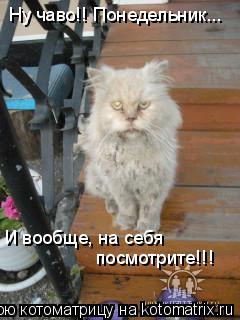 Ну чаво!! Понедельник... И вообще, на себя посмотрите!!!... Котоматрица: Ну чаво!! Понедельник... И вообще, на себя посмотрите!!!