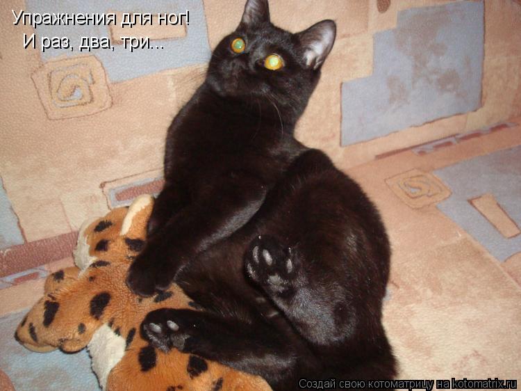 Котоматрица: Упражнения для ног! И раз, два, три...